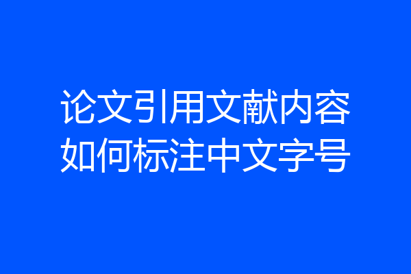 论文引用文献内容如何标注中文字号