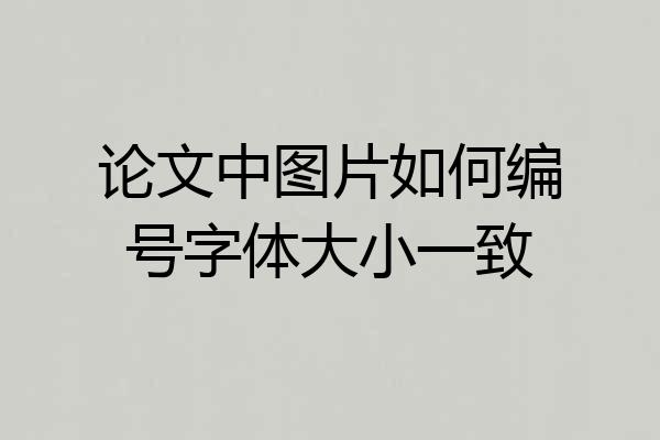 论文中图片如何编号字体大小一致