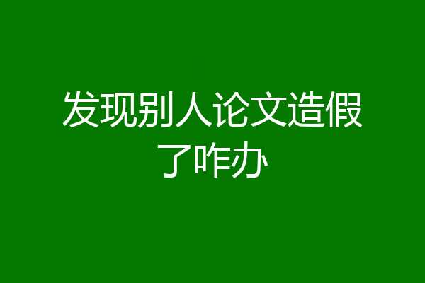 发现别人论文造假了咋办