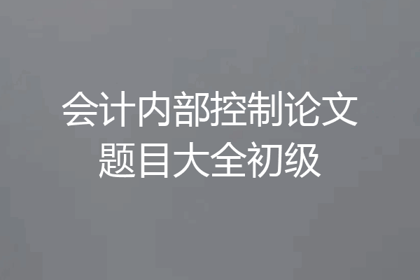 会计内部控制论文题目大全初级
