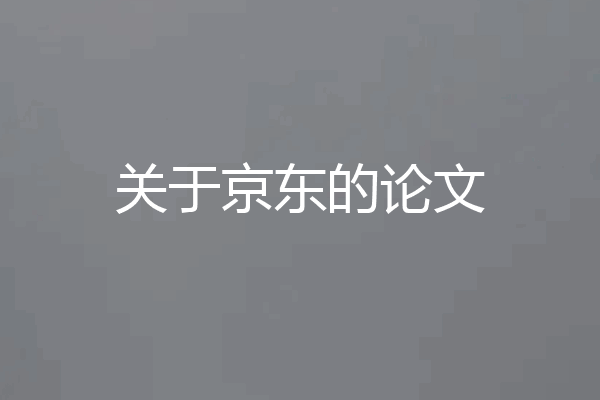 关于京东的论文