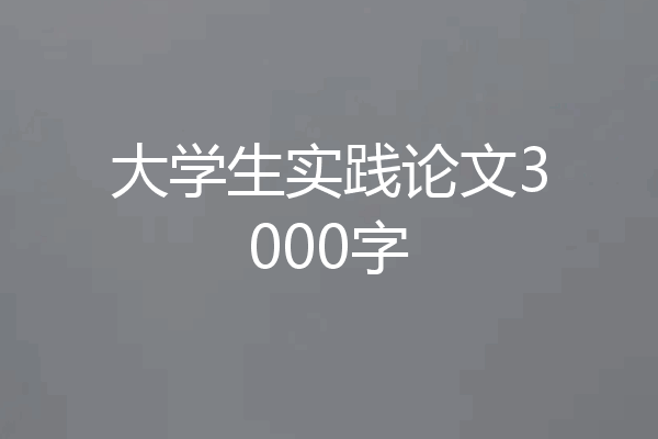 大学生实践论文3000字