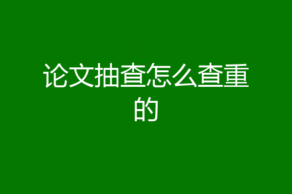 论文抽查怎么查重的