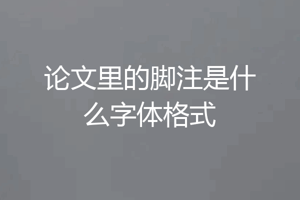 论文里的脚注是什么字体格式
