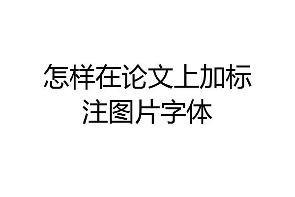 怎样在论文上加标注图片字体