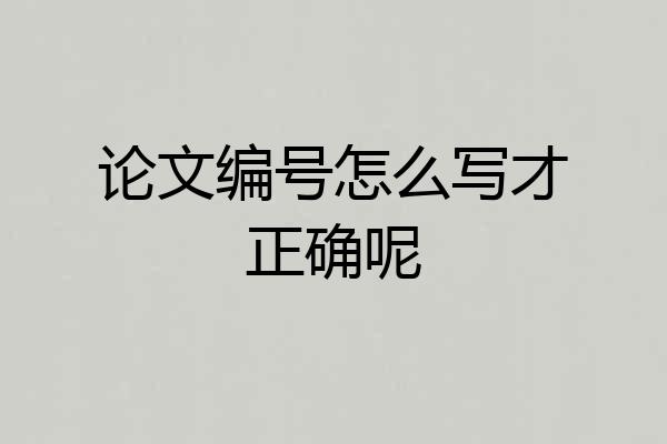 论文编号怎么写才正确呢