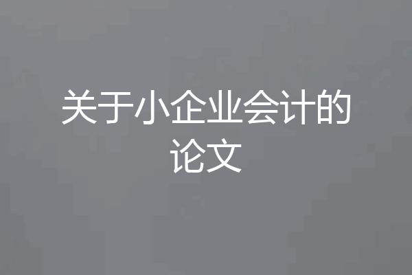 关于小企业会计的论文
