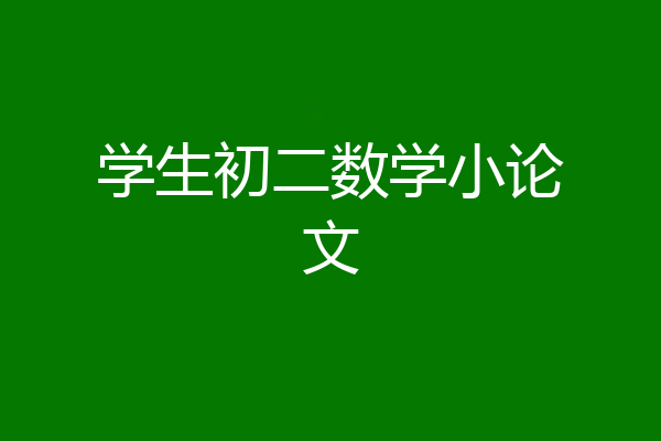 学生初二数学小论文