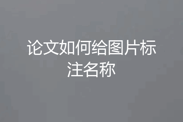 论文如何给图片标注名称