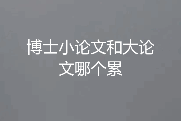 博士小论文和大论文哪个累