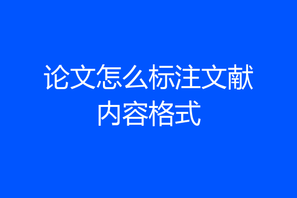论文怎么标注文献内容格式