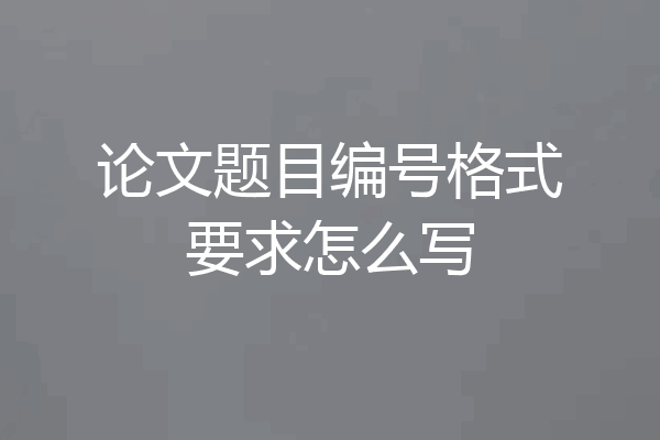 论文题目编号格式要求怎么写