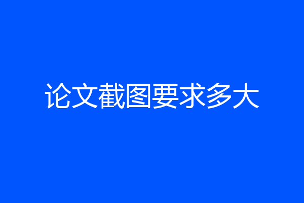 论文截图要求多大