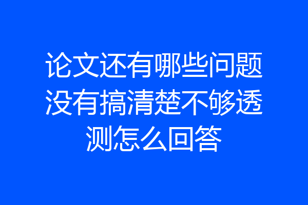 论文还有哪些问题没有搞清楚不够透测怎么回答