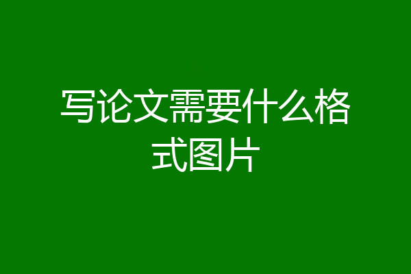 写论文需要什么格式图片