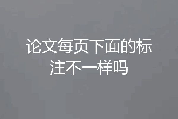 论文每页下面的标注不一样吗