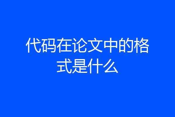 代码在论文中的格式是什么