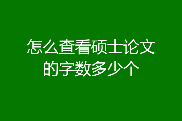 怎么查看硕士论文的字数多少个