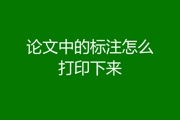 论文中的标注怎么打印下来