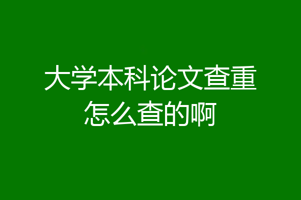 大学本科论文查重怎么查的啊