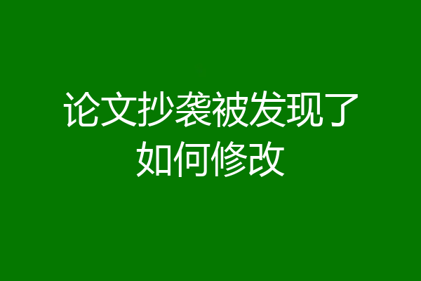 论文抄袭被发现了如何修改
