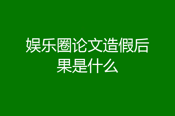 娱乐圈论文造假后果是什么
