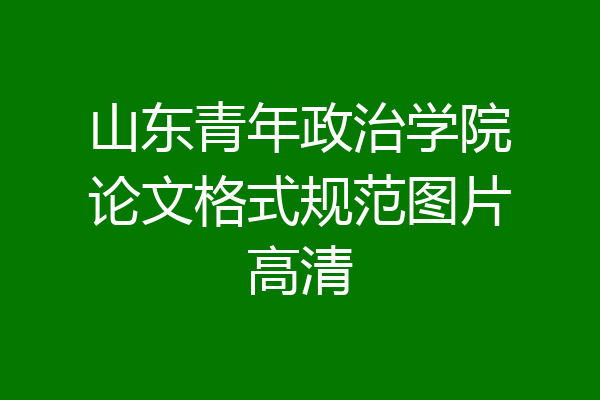 山东青年政治学院论文格式规范图片高清