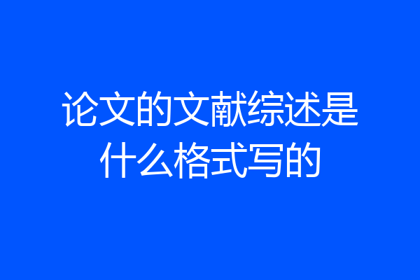 论文的文献综述是什么格式写的