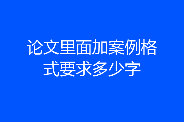 论文里面加案例格式要求多少字