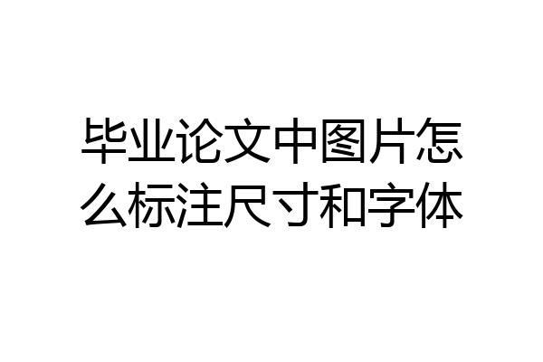 毕业论文中图片怎么标注尺寸和字体