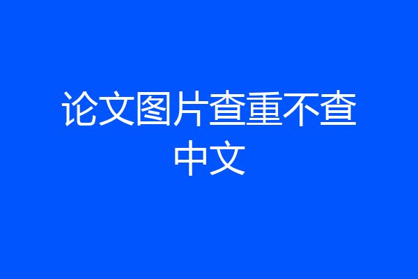 论文图片查重不查中文
