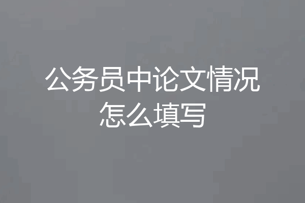 公务员中论文情况怎么填写