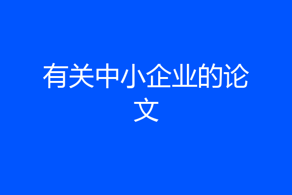 有关中小企业的论文