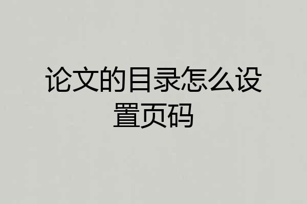 论文的目录怎么设置页码