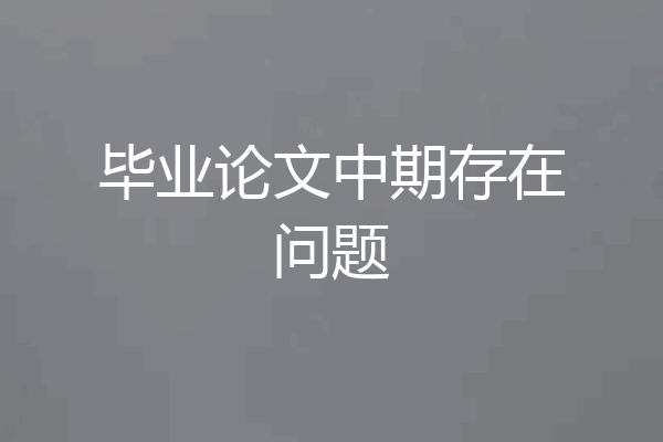 毕业论文中期存在问题