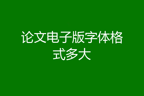 论文电子版字体格式多大