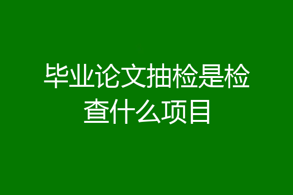 毕业论文抽检是检查什么项目