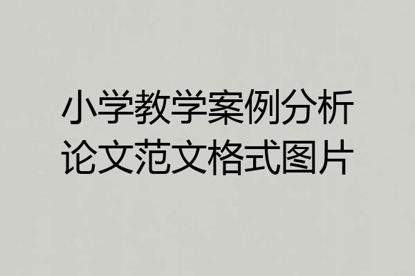 小学教学案例分析论文范文格式图片