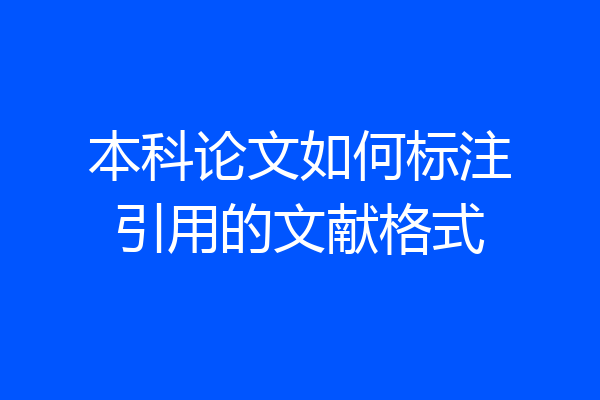 本科论文如何标注引用的文献格式