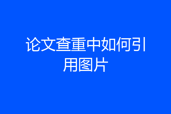 论文查重中如何引用图片