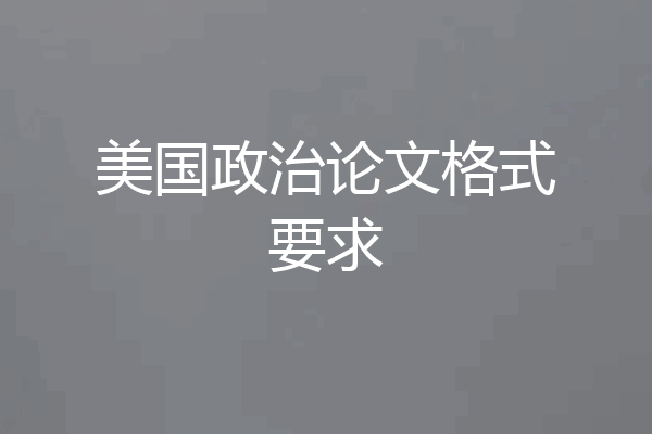 美国政治论文格式要求