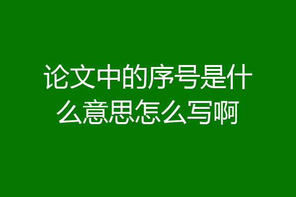 论文中的序号是什么意思怎么写啊