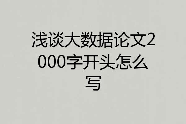 浅谈大数据论文2000字开头怎么写