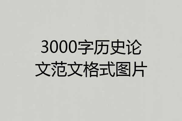 3000字历史论文范文格式图片