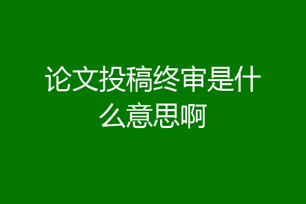 论文投稿终审是什么意思啊