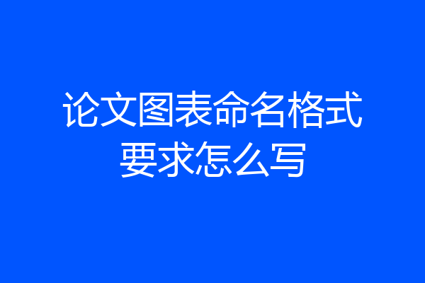 论文图表命名格式要求怎么写