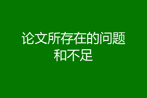 论文所存在的问题和不足