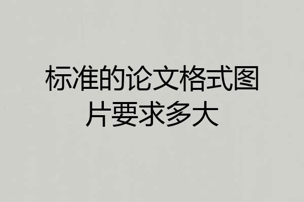 标准的论文格式图片要求多大