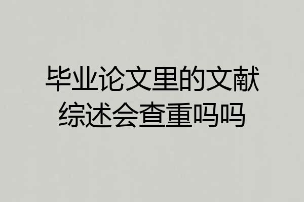 毕业论文里的文献综述会查重吗吗