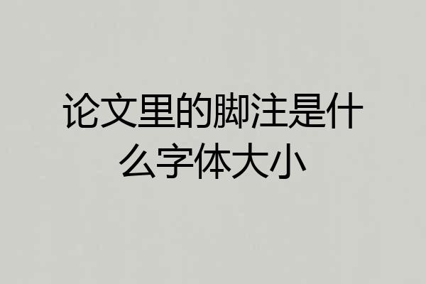 论文里的脚注是什么字体大小